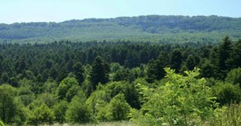 fonte: terraecuore.net