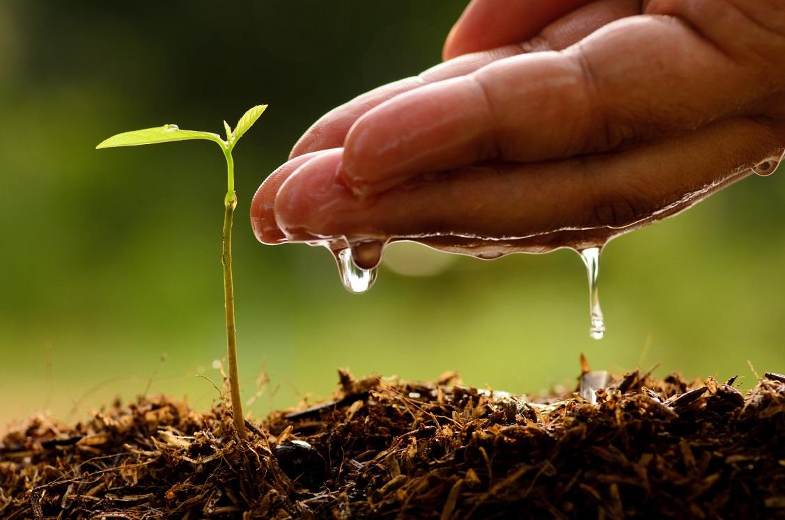 https://www.terredichieti.net/archivi/immagini/2024/A/acquaagri.jpg