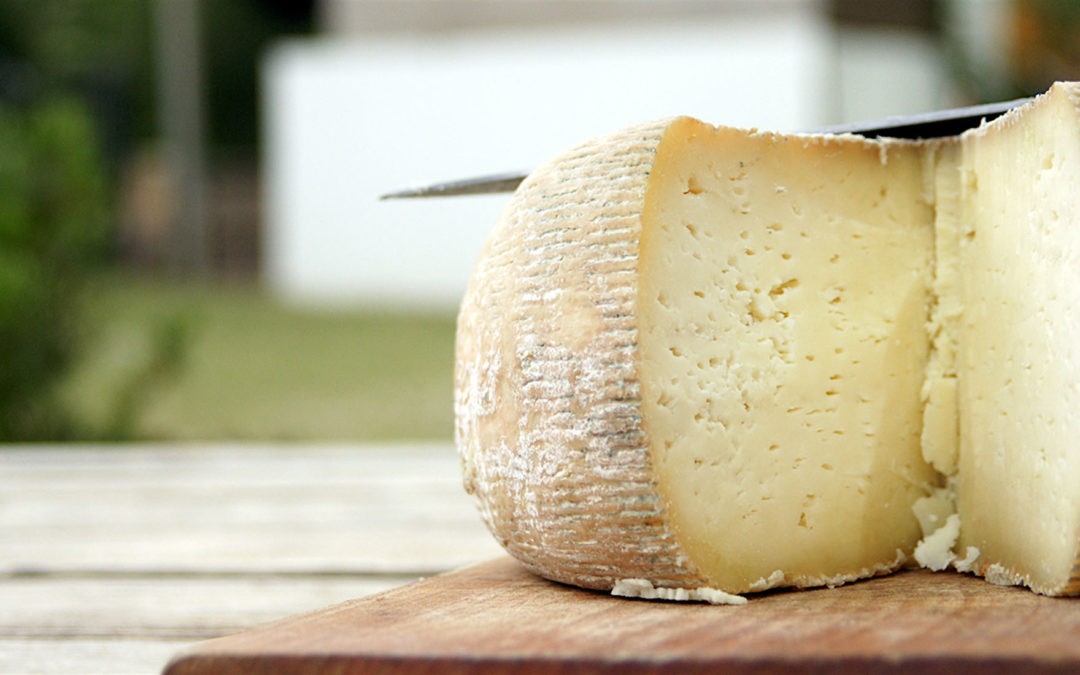 https://www.terredichieti.net/archivi/immagini/2024/P/pecorino.jpg
